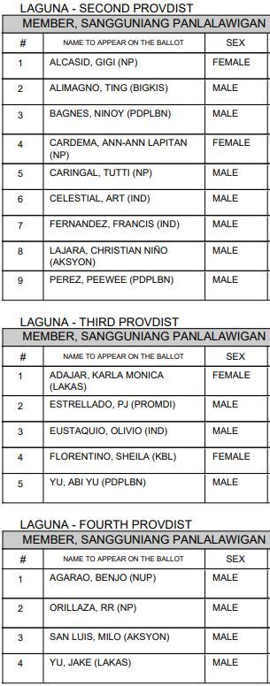 board members of laguna 2022 result|2022 Laguna congressman, governor, vice governor, board .
